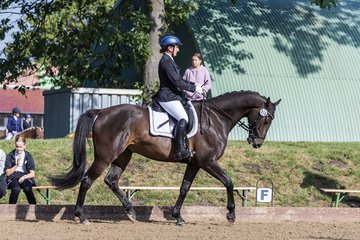 Bild 299 - Pony Akademie Turnier